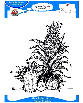 Çocuklar İçin Ananas Boyama Sayfaları 
